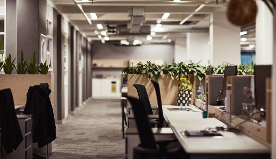 LEDCOIN від Lumiart - освітлення економ серії з простими технічними рішеннями